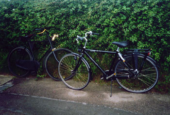 Cycles parked against a hedge