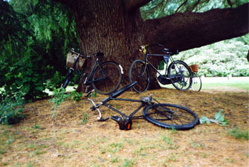Cycles scattered around