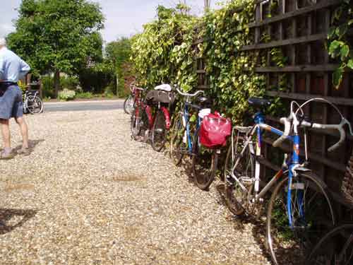 Waiting for their riders